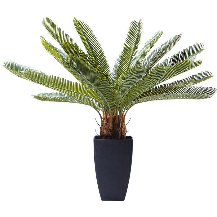 Cycas Ağacı Dekoratif Bitki 78cm