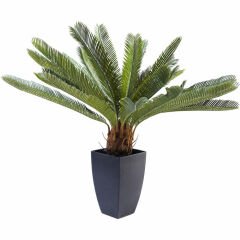 Cycas Ağacı Dekoratif Bitki 78cm