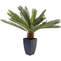 Cycas Ağacı Dekoratif Bitki 78cm