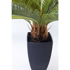 Cycas Ağacı Dekoratif Bitki 78cm
