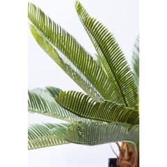 Cycas Ağacı Dekoratif Bitki 78cm