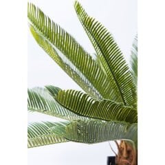 Cycas Ağacı Dekoratif Bitki 78cm