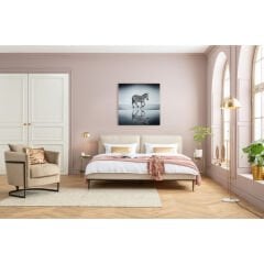 Savannah Zebra Cam Resim 120x120cm