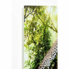 Animal Paradise Cam Resim 150x100cm