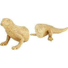 Lizard Kitap Tutcağı