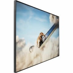 Elephant In The Sky Tablo 150x100 cm