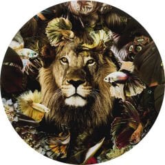 Curious Lion Tablo 100cm