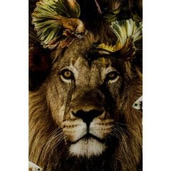 Curious Lion Tablo 100cm