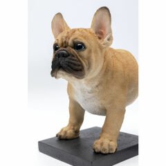 Bookend Frenchy Kitap Tutucu