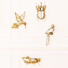 Parrot Dekoratif Duvar Aynası