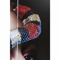 Royal Headdress vs Snake Girl Oda Separatörü