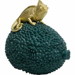 Chameleon Dekoratif Kutu