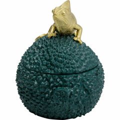 Chameleon Dekoratif Kutu