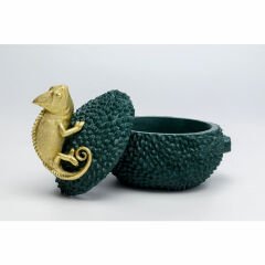 Chameleon Dekoratif Kutu