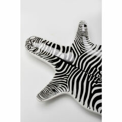 Zebra Dekoratif Kase