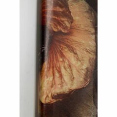Flower Art Lady Canvas Resim 200x200cm