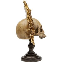 King Skull Dekoratif Obje