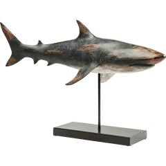 Shark Base Dekoratif Obje 52cm