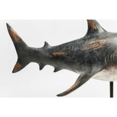 Shark Base Dekoratif Obje 52cm