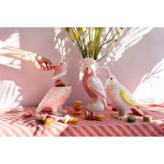 Deco Jar Exotic Bird 23cm