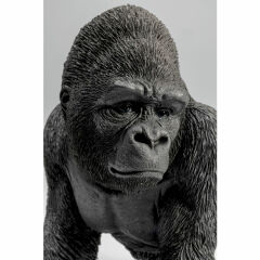 Gorilla 2 Parçalı Kitap Tutucu