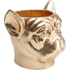Bulldog Gold Fiberglas Saksı