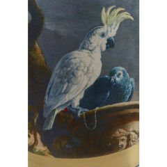 Cherry Parrot Pirinç Tabure