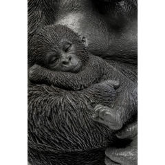 Cuddle Gorilla Family Poliresin Dekoratif Obje