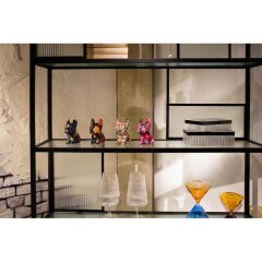 Money Box Dog Fiore 12cm Assorted