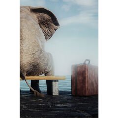 Elephant Journey Cam Resim 60x40cm