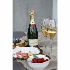 Champagne Glass Dekoratif Aksesuar