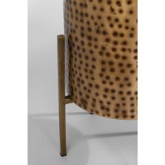 Mynah Gold Bitki Saksısı 42 cm