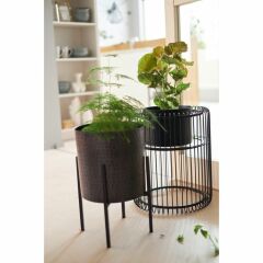 Mynah Siyah Bitki Saksısı