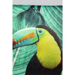 Tucan Polyester Kırlent 45x45 cm