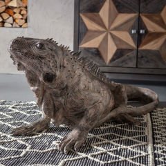 Iguana Dekoratif Obje 135cm