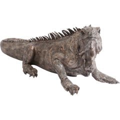 Iguana Dekoratif Obje 135cm