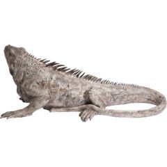 Iguana Dekoratif Obje 135cm