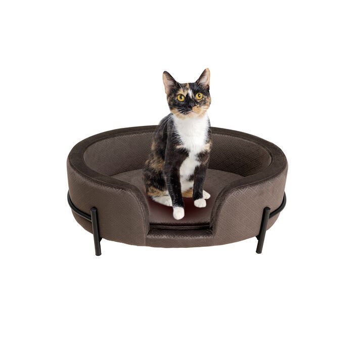 Bed Dream Day Gri Kedi Köpek Yatağı