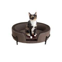 Bed Dream Day Gri Kedi Köpek Yatağı