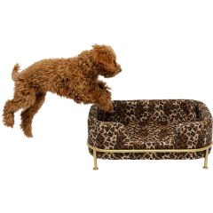 Diva Leo Dekoratif Aksesuar