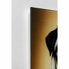 Prince Pug Cam Resim 40x60cm