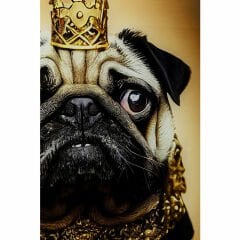 Prince Pug Cam Resim 40x60cm