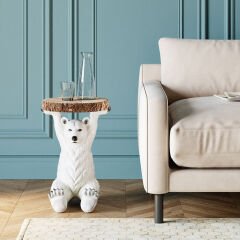 Animal Polar Bear Yan Sehpa
