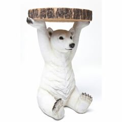 Animal Polar Bear Yan Sehpa