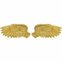 Angel Wings Duvar Objesi