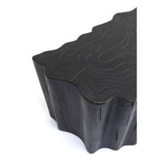 Tree Stump Siyah Sehpa