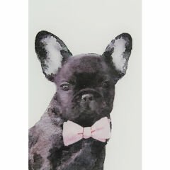 Fashion Dog Cam Resim 60x80cm