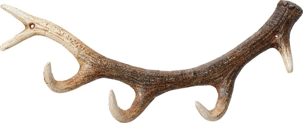 Coat Rack Antler Nature 35cm