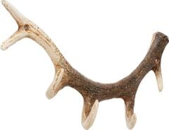 Coat Rack Antler Nature 35cm