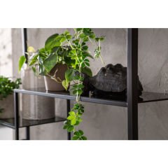 Loft Siyah Toz Boyalı Çelik Duvar Rafı